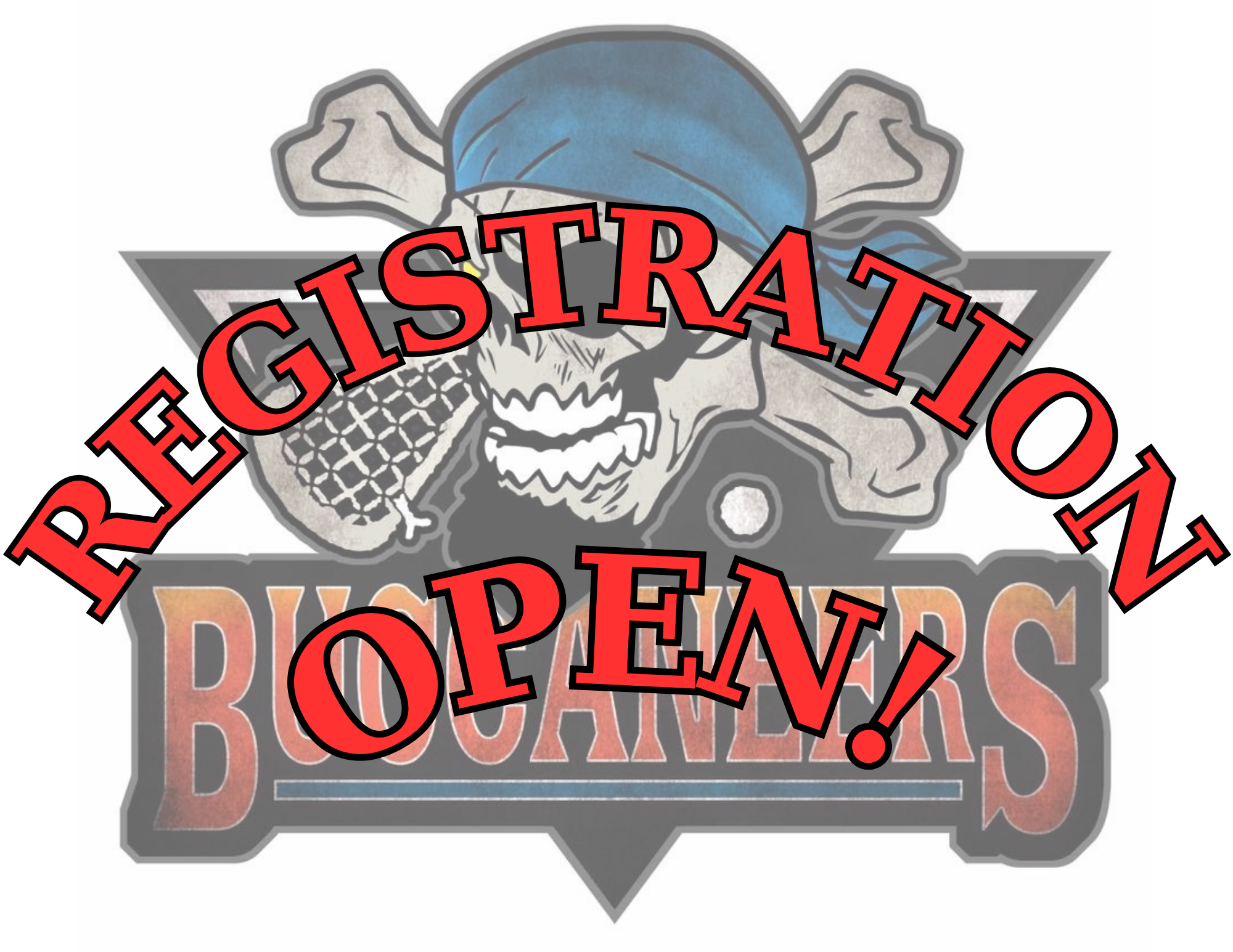 Sylvan Lake Lacrosse site by RAMP InterActive